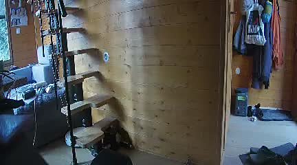 A very low resolution frame from the JooVuu: a wooden staircase and coats on a wall